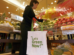 Consumers, retailers, and the plastic bag