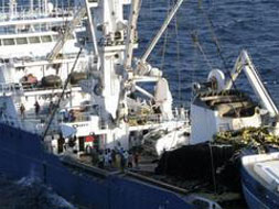 Somali pirates release Spanish fishing boat