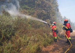 Fire razes 750 hectares in Sierra Bermeja and Genal