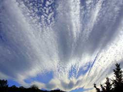 Gina van der Ende wins the July prize for her 'Clouds'