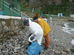 Slick response to oil pollution
