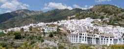 Round up of this week's news from Costa del Sol and inland towns and villages