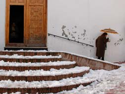 The Axarqu�a covered in snow for the first time in 50 years