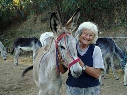 Dedicated to donkeys
