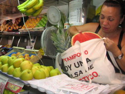 Say goodbye to plastic bags forever