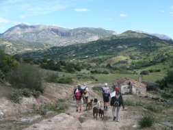 ADANA prepares special send off for volunteer walkers