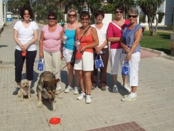 Local Weight Watchers meetings raise vital funds for cancer charities