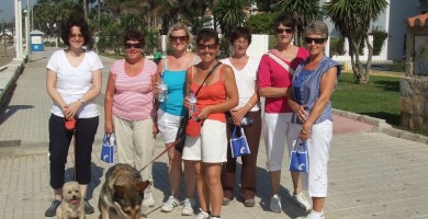 Local Weight Watchers meetings raise vital funds for cancer charities