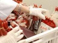 UK blood donors still banned in Spain