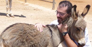 Donkey Refuge celebrates it sixth anniversary