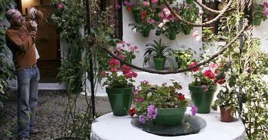 Cordoba patio festival
