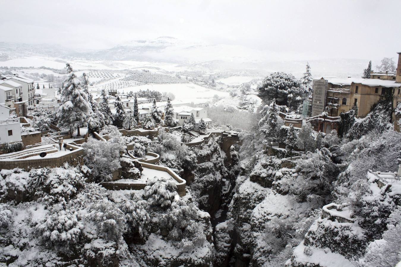 Snow in the province of Malaga - in pictures