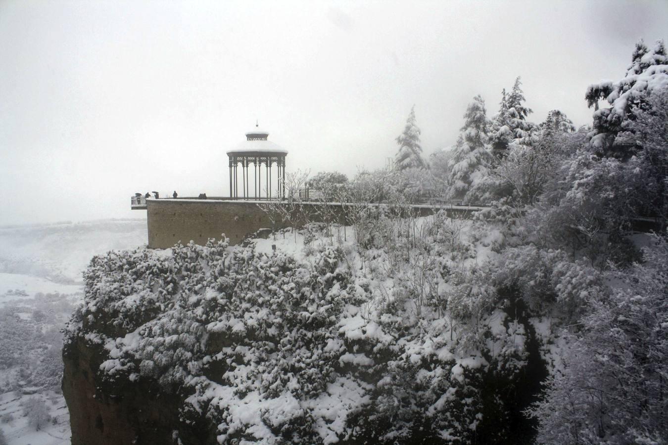Snow in the province of Malaga - in pictures