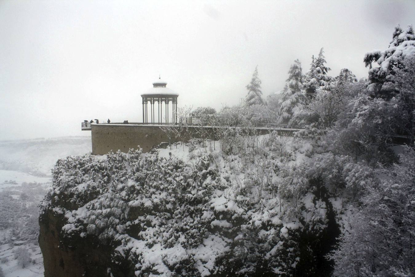 Snow in the province of Malaga - in pictures