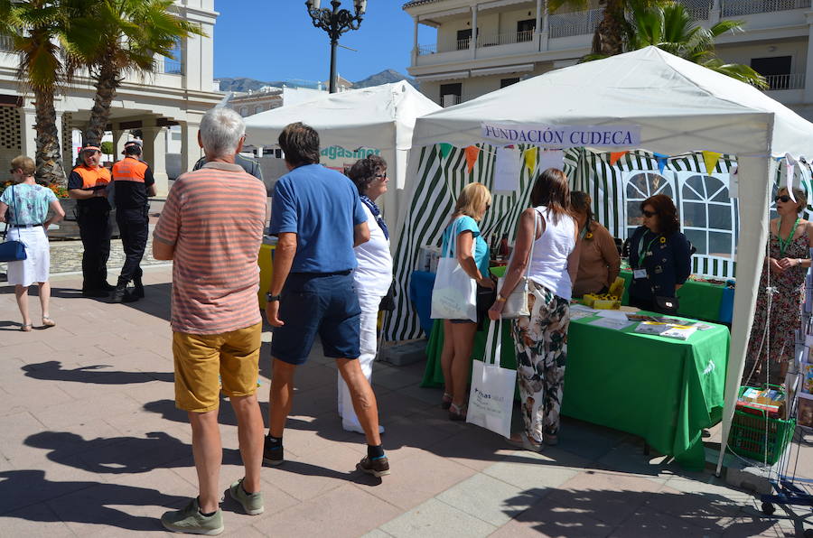 Nerja Residents' Day, in photos