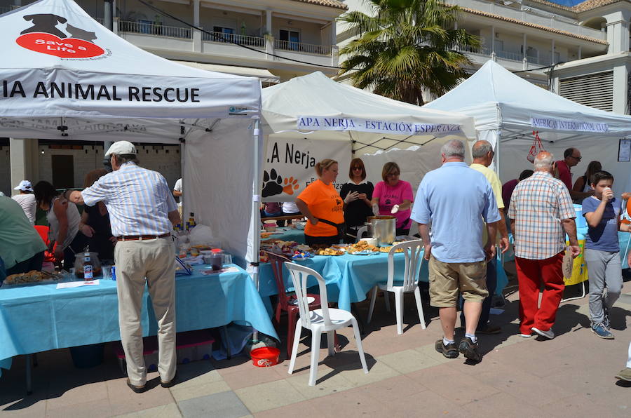 Nerja Residents' Day, in photos