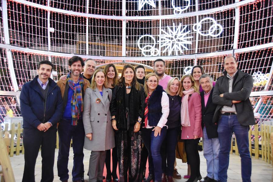 Christmas lights 2017 in Fuengirola