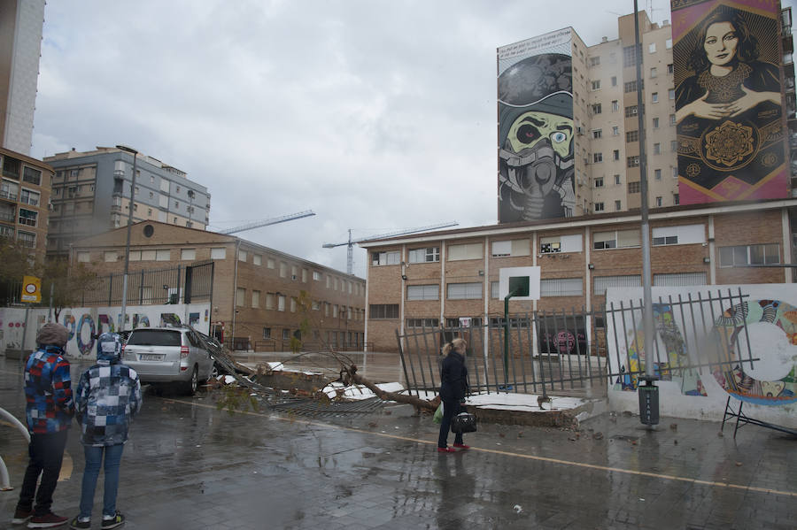 Malaga's windy weather in pictures