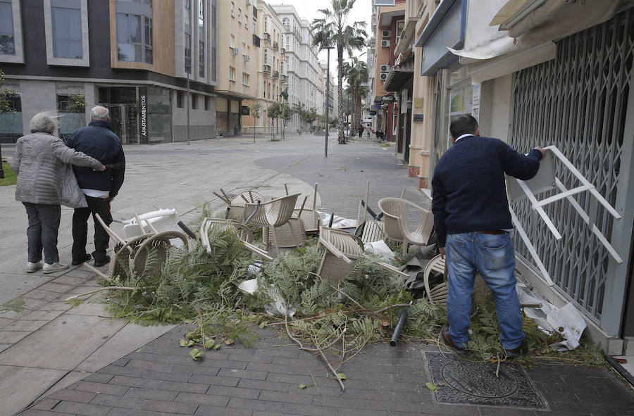 Malaga's windy weather in pictures