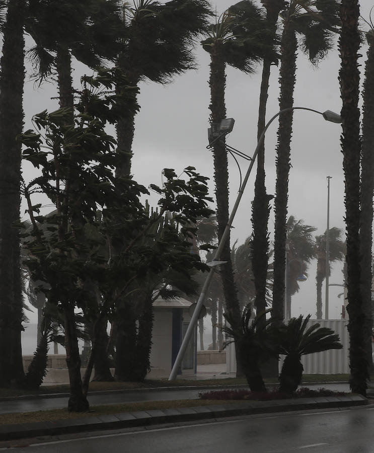 Malaga's windy weather in pictures