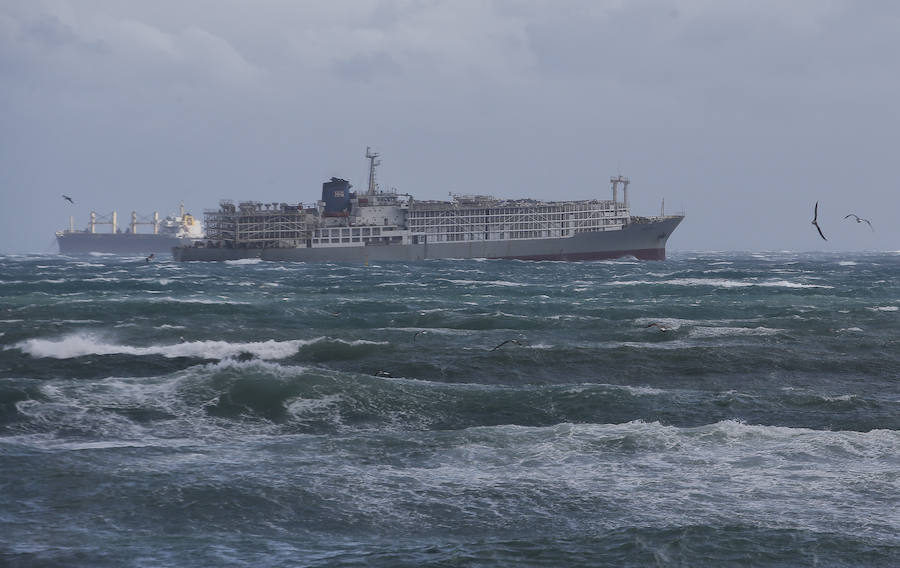 Malaga's windy weather in pictures