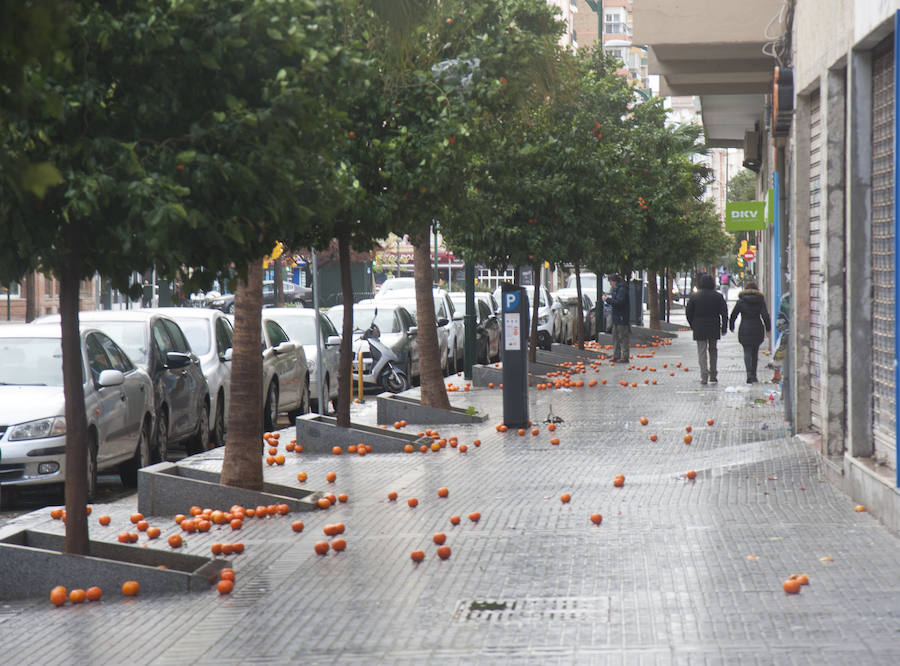 Malaga's windy weather in pictures