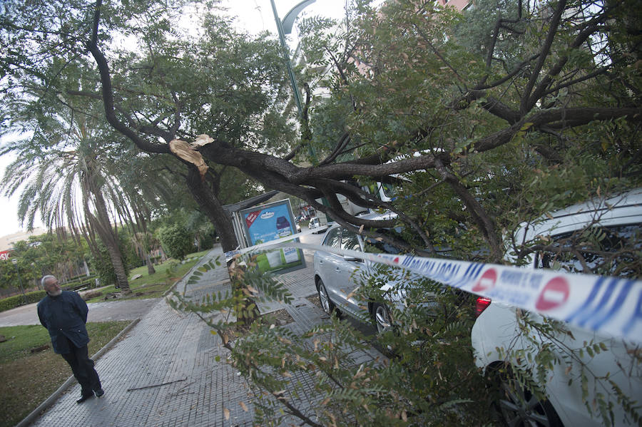 Malaga's windy weather in pictures