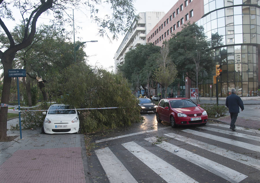 Malaga's windy weather in pictures