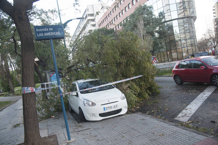 Malaga's windy weather in pictures