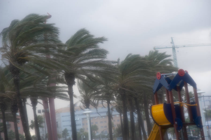 Malaga's windy weather in pictures