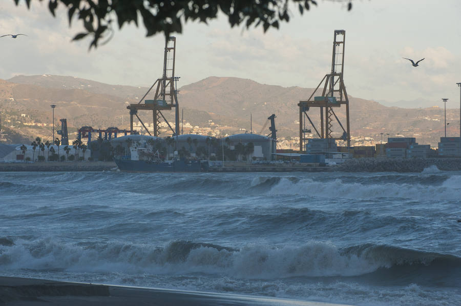 Malaga's windy weather in pictures