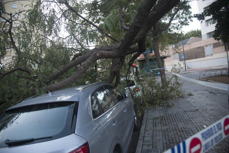 Malaga's windy weather in pictures
