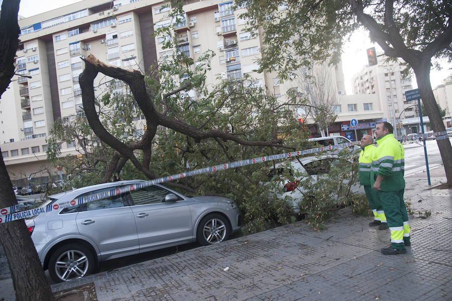 Malaga's windy weather in pictures