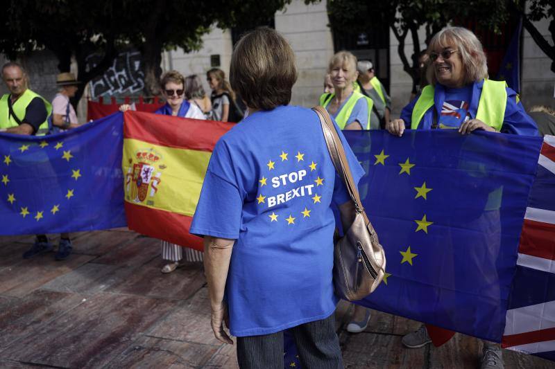 Stop Brexit - protest in Malaga
