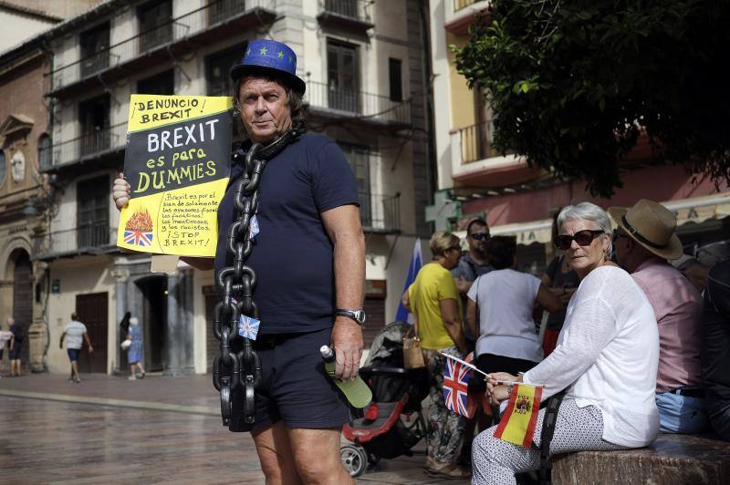 Stop Brexit - protest in Malaga