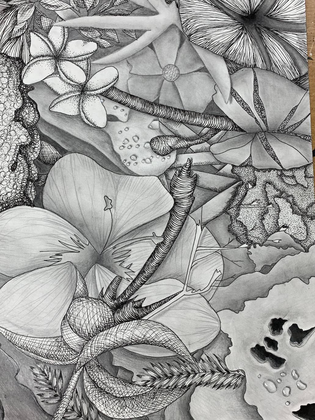 Elected - Structures in Nature