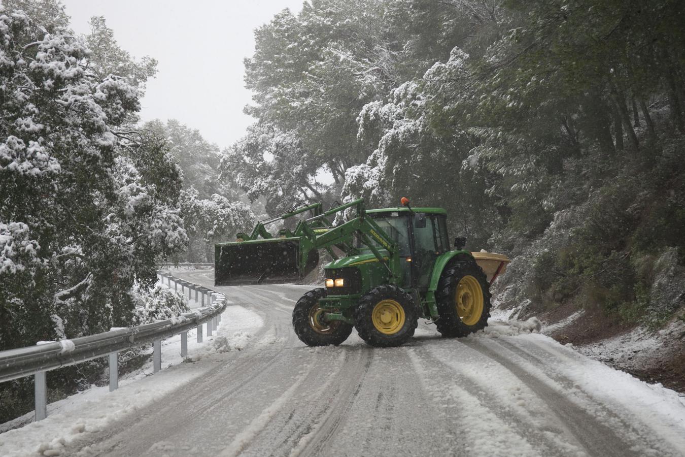 Travel chaos on Monday after several inches of snow fall on Malaga province (gallery)